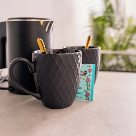 Ginevra * Болонья